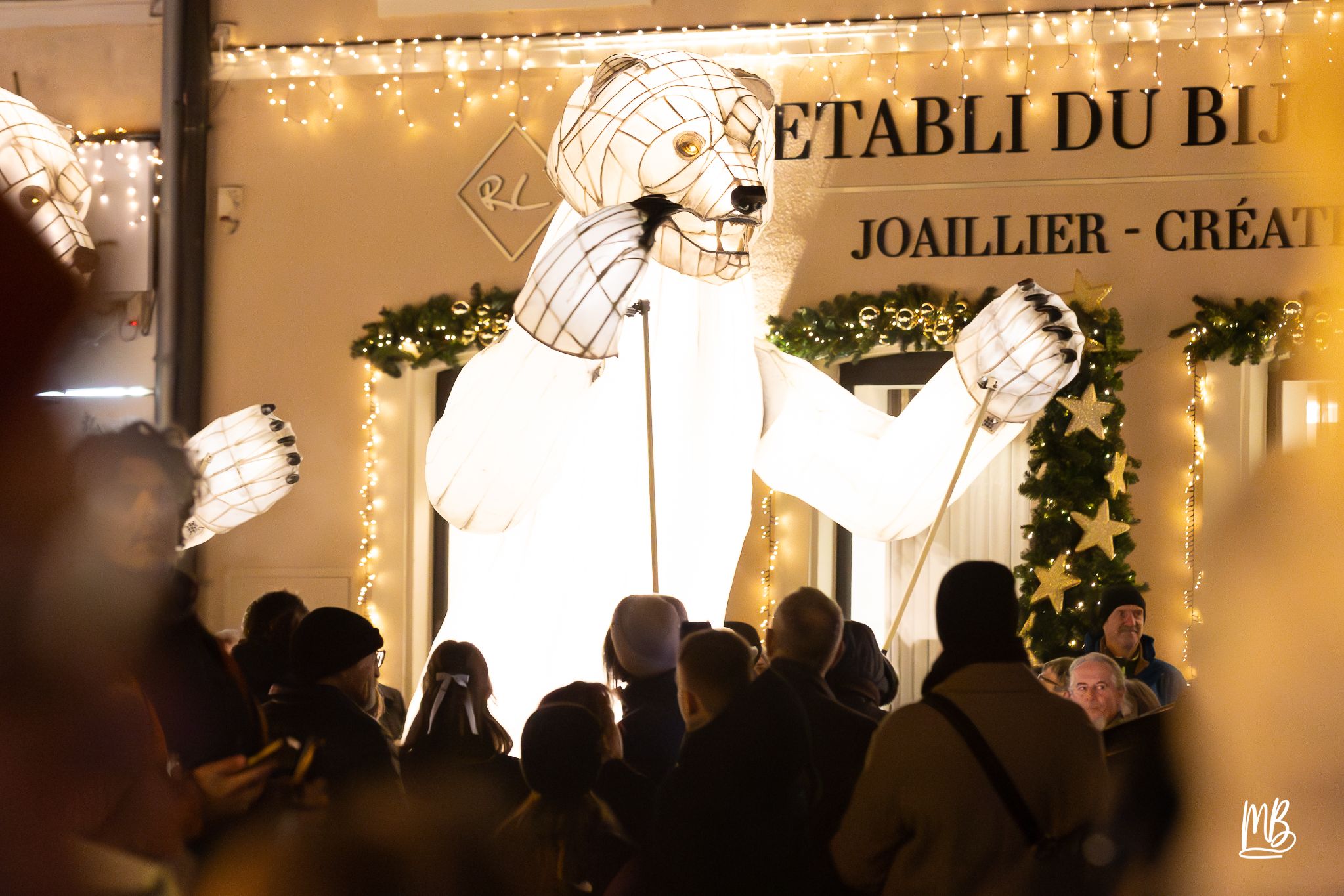 MB2024 CIE REMUE MENAGE(Gueule d'ours) (53 sur 107)